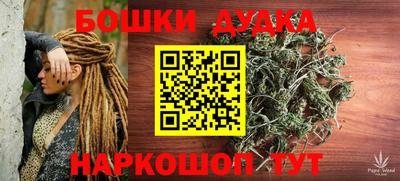 шишки Кимры