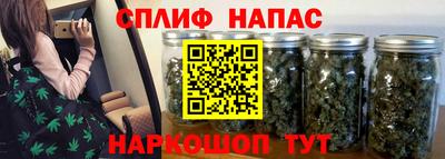 сатива Камышлов