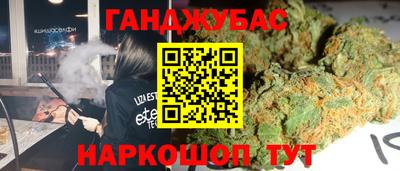 сатива Камышлов